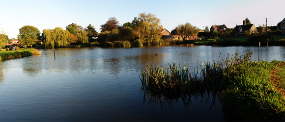 Great Massingham pond