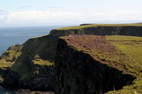 Rathlin North cliffs