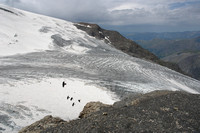 Alpine Choughs over glacier de la Meije